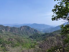 -大岭沟猕猴桃谷风景区
