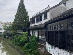-金山嘴渔村