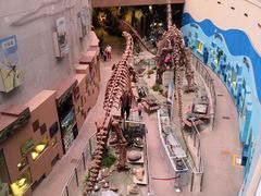 -陕西自然博物馆