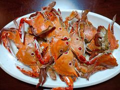 -蓝湾碧波·老字号·疍家非遗海上餐厅