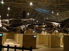 -世界恐龙谷景区