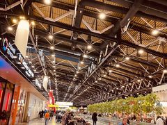 -谢列梅捷沃国际机场