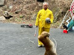 -洛阳花果山景区