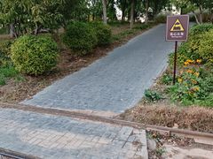 -永定河休闲森林公园