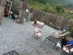 -小时光咖啡馆(开森度假森林店)