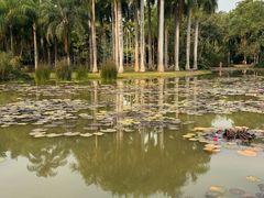 -中国科学院西双版纳热带植物园