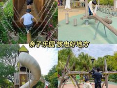 -八仙山公园