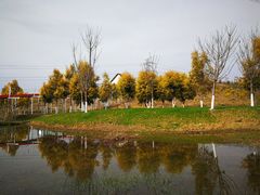 -紫颐香薰山谷景区