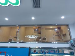 -萌兽医馆·宠物医院·猫骨科(创景店)