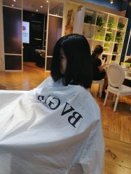 -东晨宝格丽品质造型