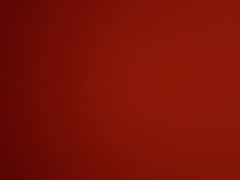 -老狼大盘鸡(祭城店)