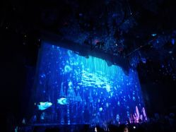 -东方薇婷艺术中心(北外滩店)