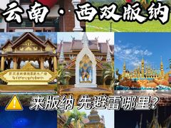 -西双版纳原始森林公园