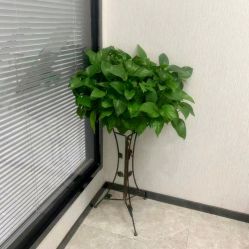 -痘博士广州·全国连锁祛痘机构