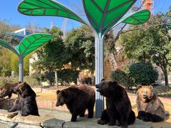 -南京金牛湖风景区
