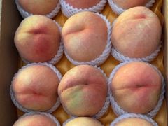 -老袁家蜜桃农场·阳山水蜜桃