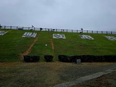 -龙坞茶村