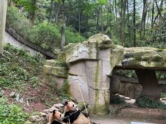 -中国大熊猫保护研究中心雅安碧峰峡基地