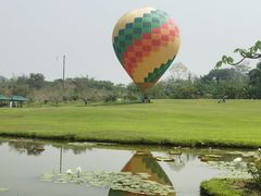 -中国科学院西双版纳热带植物园
