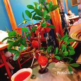 遇见长安～国风陕西创意菜
