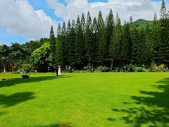 -深圳仙湖植物园