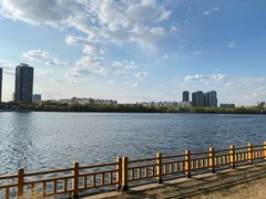 -长白岛森林公园