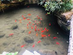-钦善斋(武侯祠店)