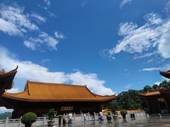 -深圳仙湖植物园