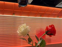 -炭舍干锅(华发商都店)