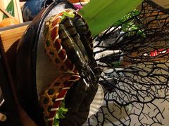 黑虎虾（熟冻）-湊湊火锅·茶憩(上海合生汇店)