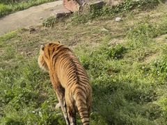 -无锡动物园·太湖欢乐园