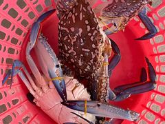 -胜海大排档·海鲜·黄鳝饭(十年老店)