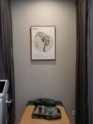 -歌曼丽草本减重