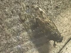 -中铁花水湾四季温泉谷