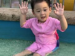 -杭州浪浪浪水公园