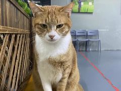 -蓝天射箭馆·专业射箭运动(诚丰广场店)