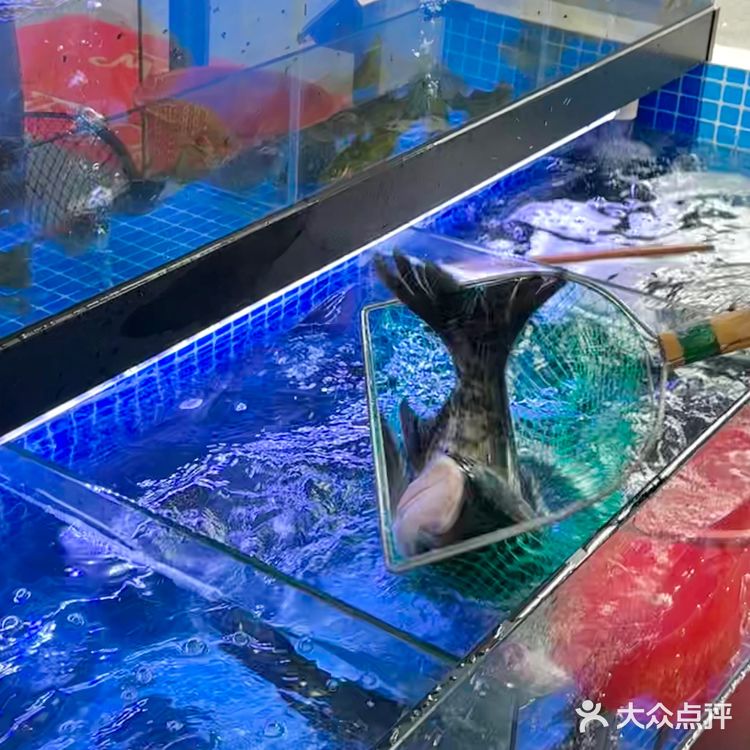 在杭州吃到重庆正宗麻麻鱼！💰1元自助涮菜！