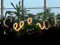 -Seesaw Coffee(朝阳大悦城店)