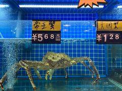 -金龙·打边炉(南京西路店)