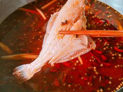 -重庆乌鱼庄·龙滋鲜(青羊大道店)