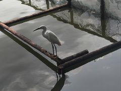-珠海圆明新园