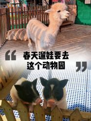 -萌宠亲子动物乐园(槐房万达店)