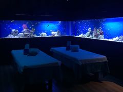 -避尘 Bsense·SPA(新会展总店)