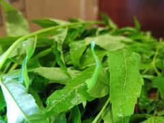 -老牌坊•鲁菜名店•地道济南菜(大观园商埠店)