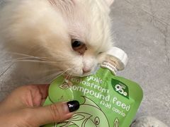 -贝康宠物医院·犬猫全科·小动物特色诊疗中心(东环路店)
