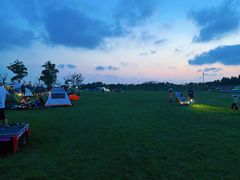 -春花秋色城市公园