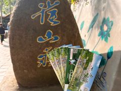 -西双版纳原始森林公园