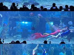 -台州海洋世界