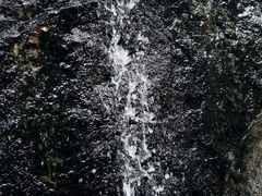 -水濂山森林公园