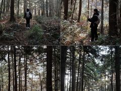 -东白山